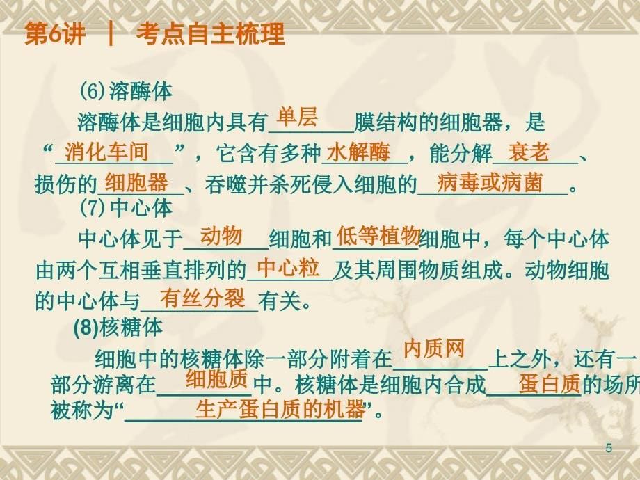 细胞器与生物膜系统.ppt_第5页