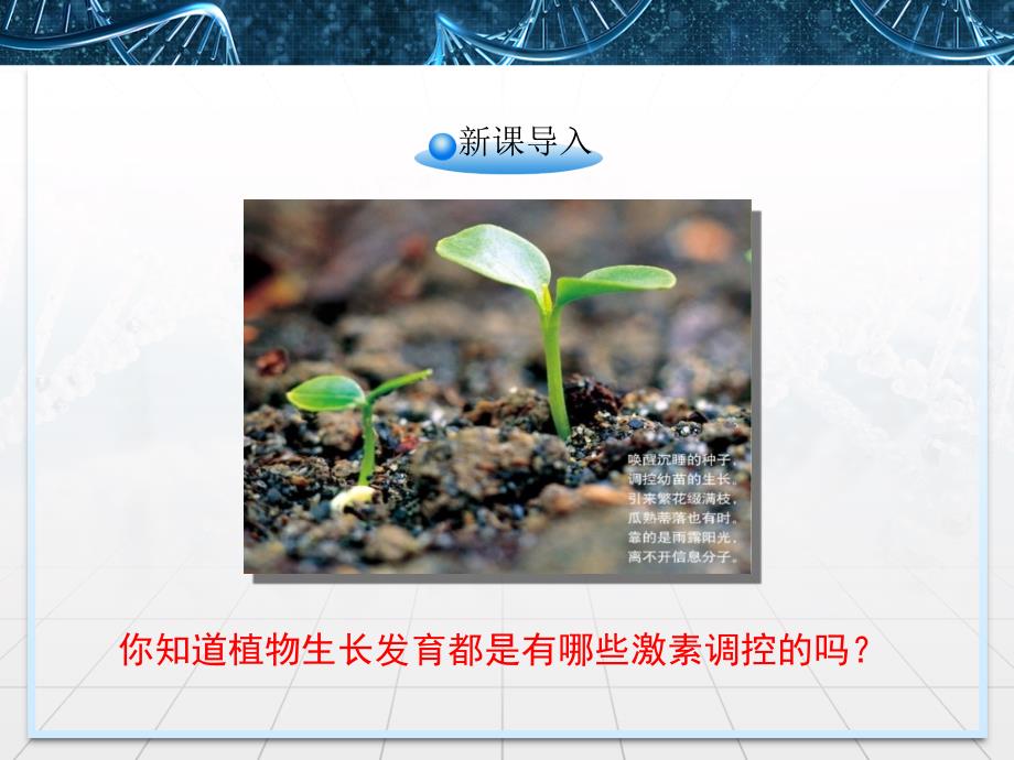 人教版高中生物必修三3.3其他植物激素课件_第2页