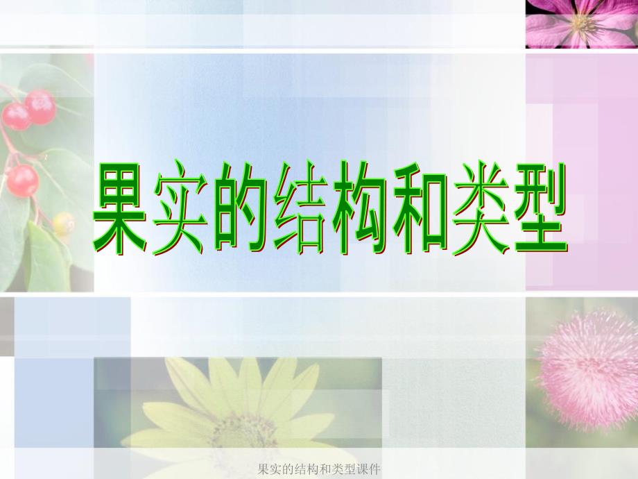 果实的结构和类型课件_第1页