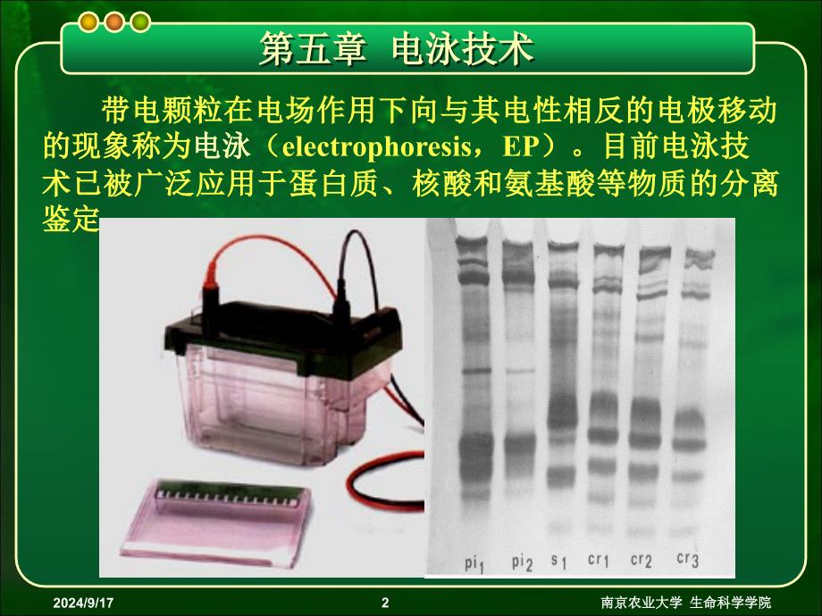 南京农业大学_第2页