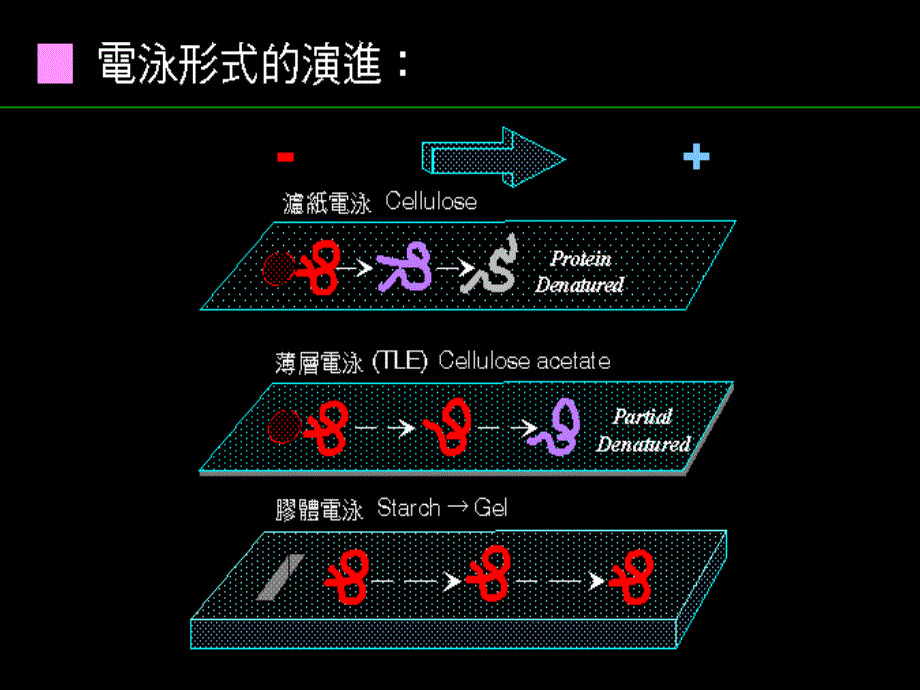 南京农业大学_第4页