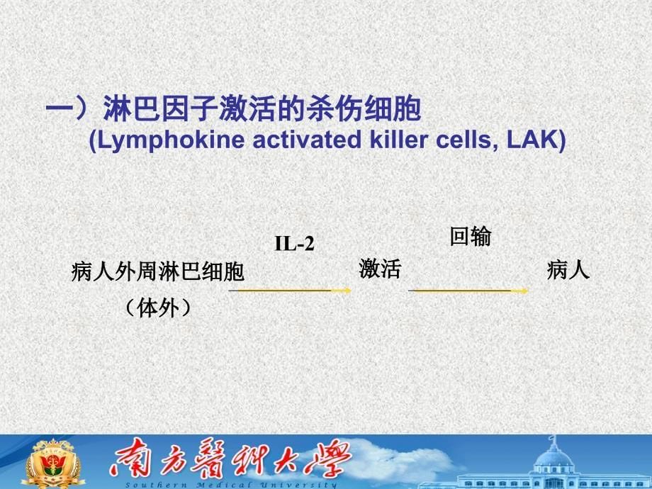 肿瘤的过继性细胞免疫治疗_第5页