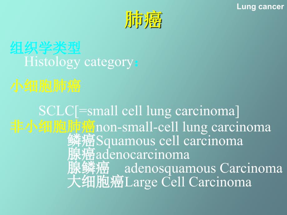 呼吸系统影像诊断-肿瘤部分_第4页