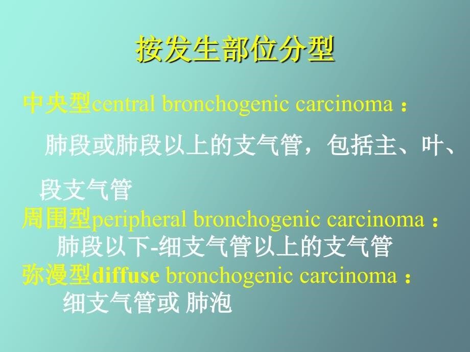 呼吸系统影像诊断-肿瘤部分_第5页