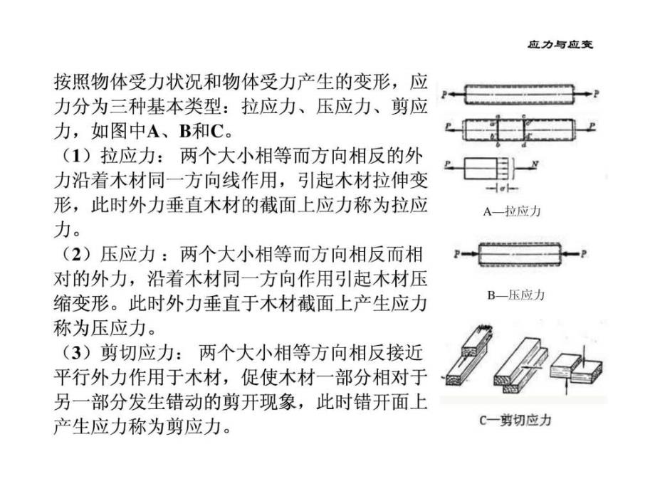 木材的力学性质_第3页