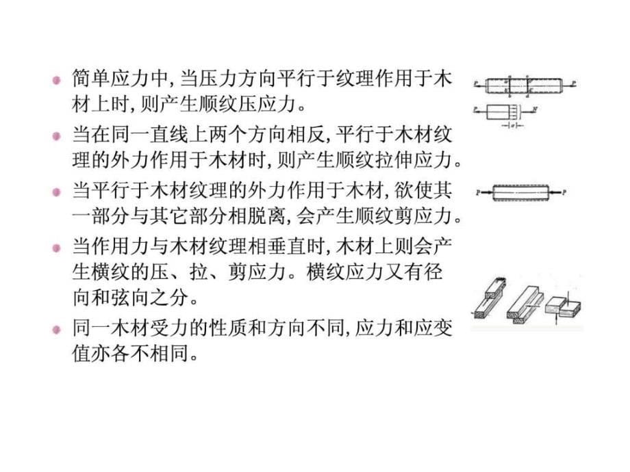 木材的力学性质_第5页