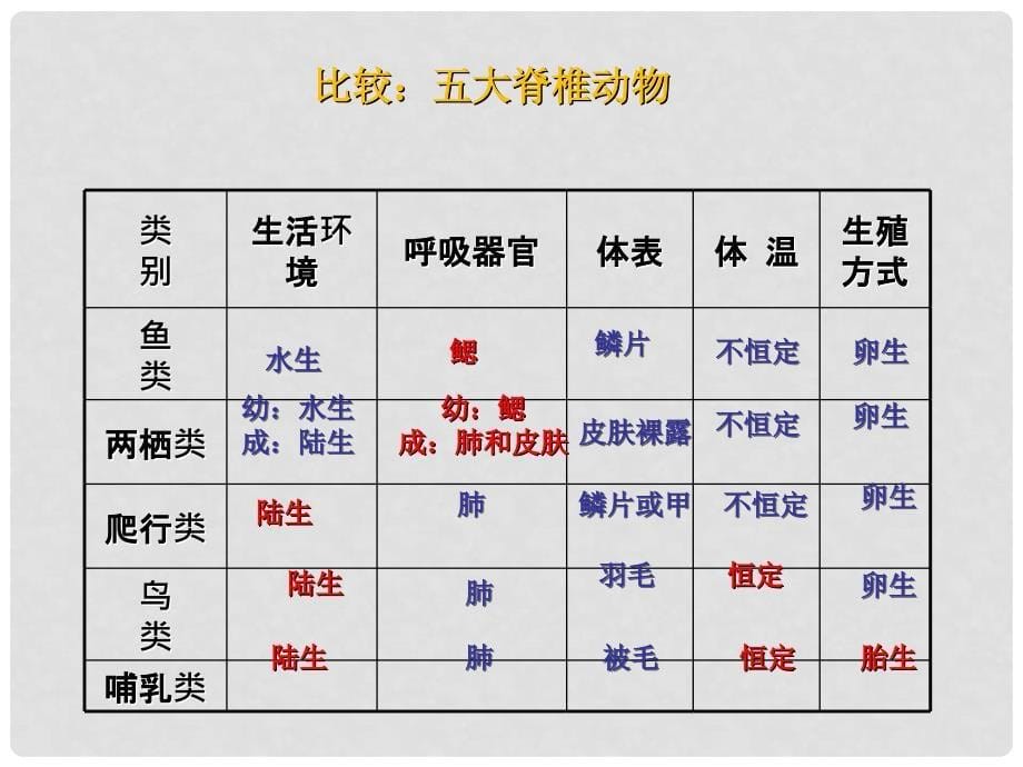 浙江省杭州市西湖区双浦镇七年级科学上册 2.4 常见的动物（2）课件 （新版）浙教版_第5页