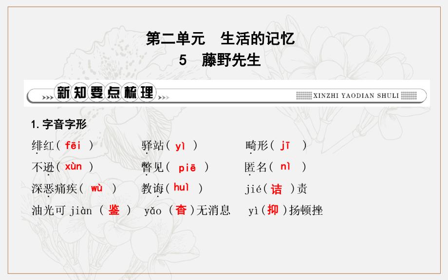 八年级语文上册第二单元5藤野先生课件新人教版_第1页