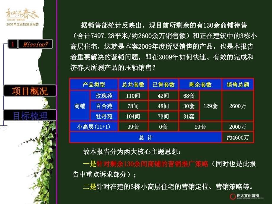 和济天地产项目营销策划报告ppt_第5页