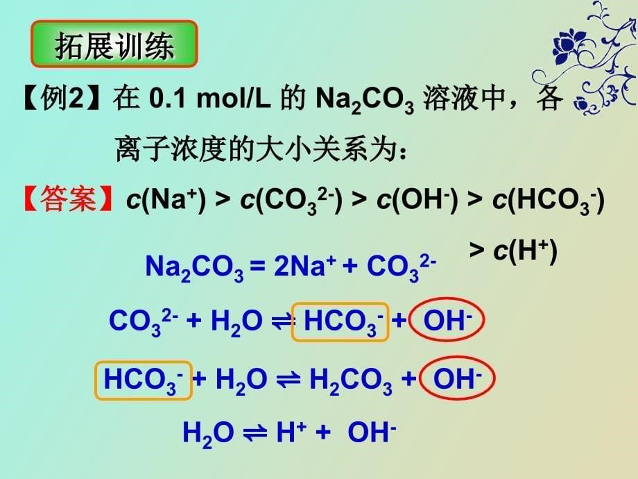 盐类水解之离子浓度的比较_第5页