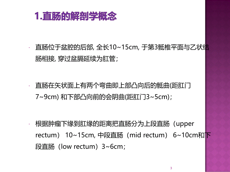 直肠相关解剖学基础及直肠癌常用术式ppt课件_第3页