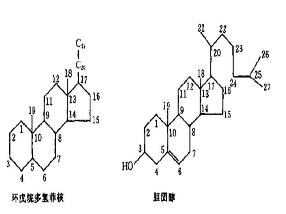 激素代谢幻灯片课件_第5页