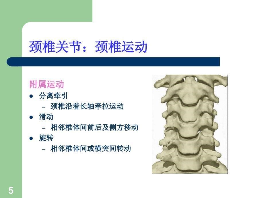 关节松动手法颈椎_第5页