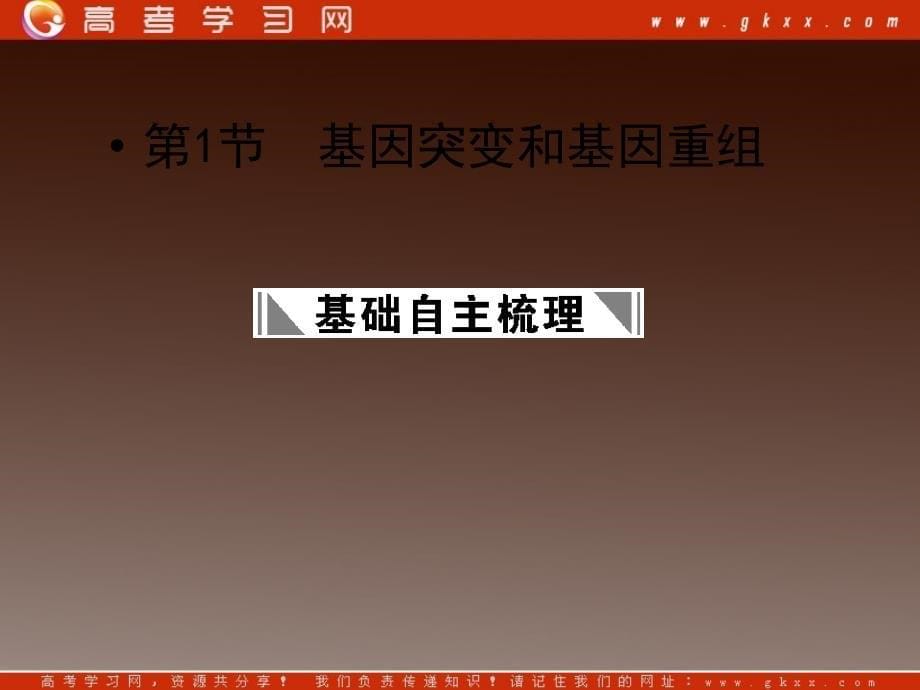 高考生物一轮复习课件：必修2 第5章　基因突变及其他变异 第1节基因突变和基因重组_第5页