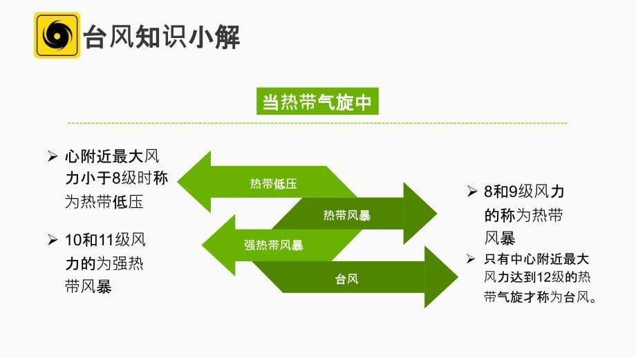 台风知识和预防培训_第5页