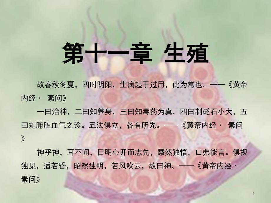生理学课件 11章生殖 临床医学 人卫第八版_第1页