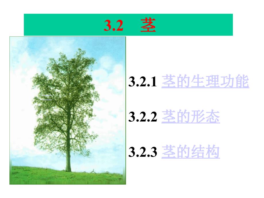 植物学情境二任务2茎的识别_第1页