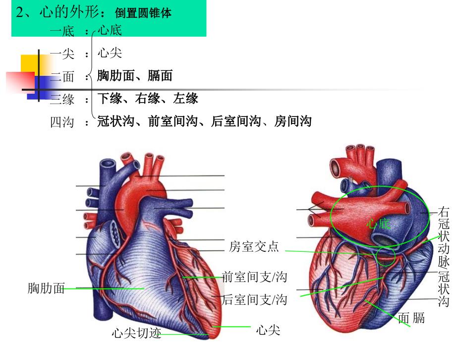 循环系统疾病_第4页