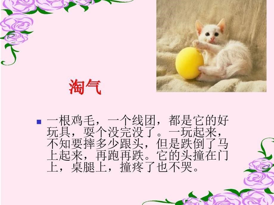 老舍《猫》ppt课件(全课)_第5页