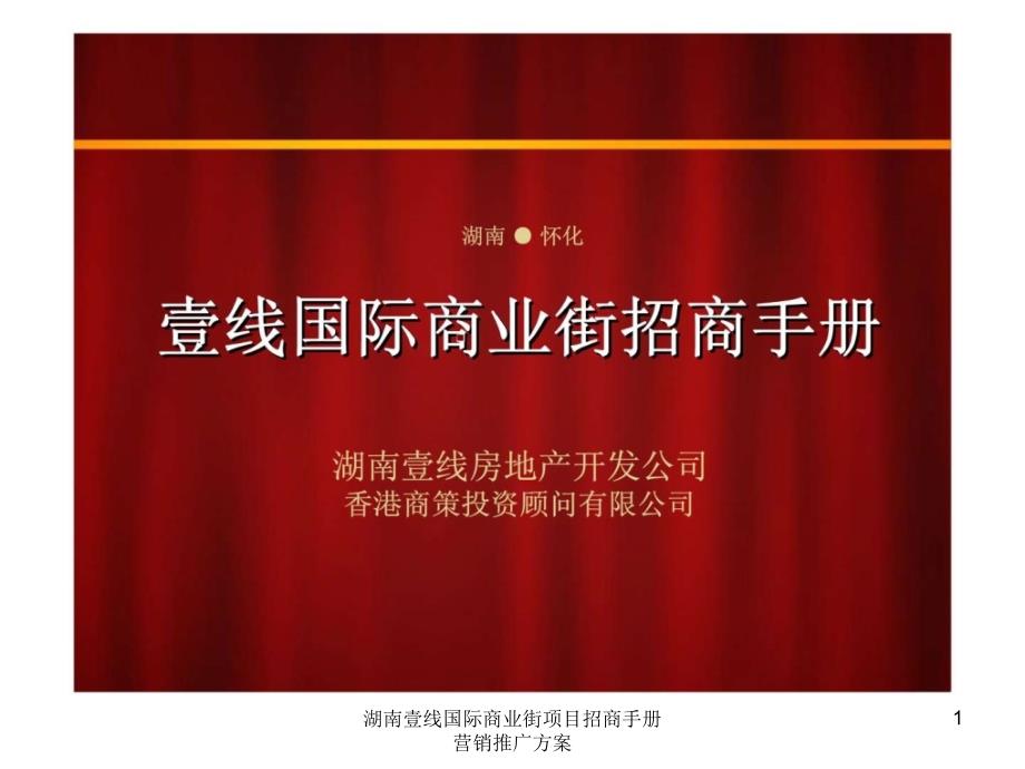 湖南壹线国际商业街项目招商手册营销推广方案课件_第1页