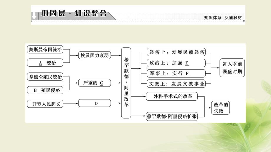 2023-2023学年高中历史 专题六 穆罕默德&amp#8226;阿里改革专题分层突破课件 人民版选修1_第2页