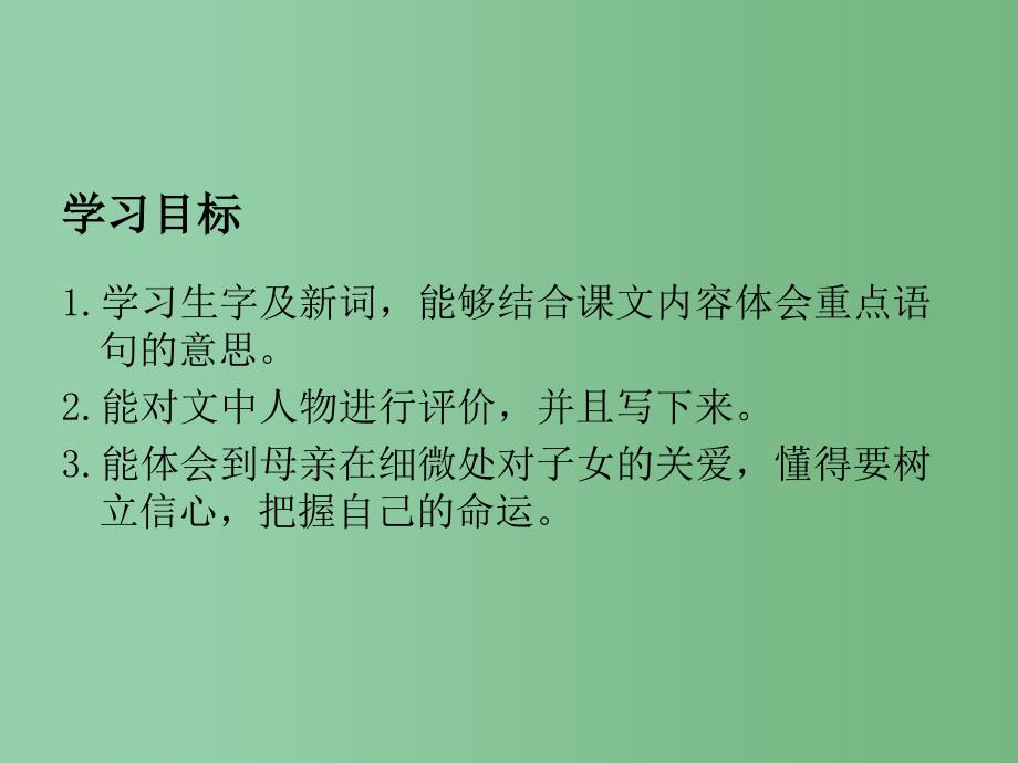 六年级语文下册 母亲的纯净水课件 北京版_第2页