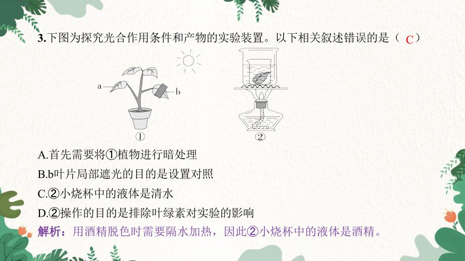 专题三 绿色植物的三大作用习题课件人教版生物七年级上册_第4页