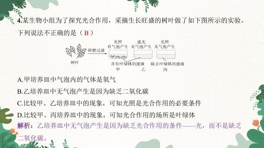 专题三 绿色植物的三大作用习题课件人教版生物七年级上册_第5页