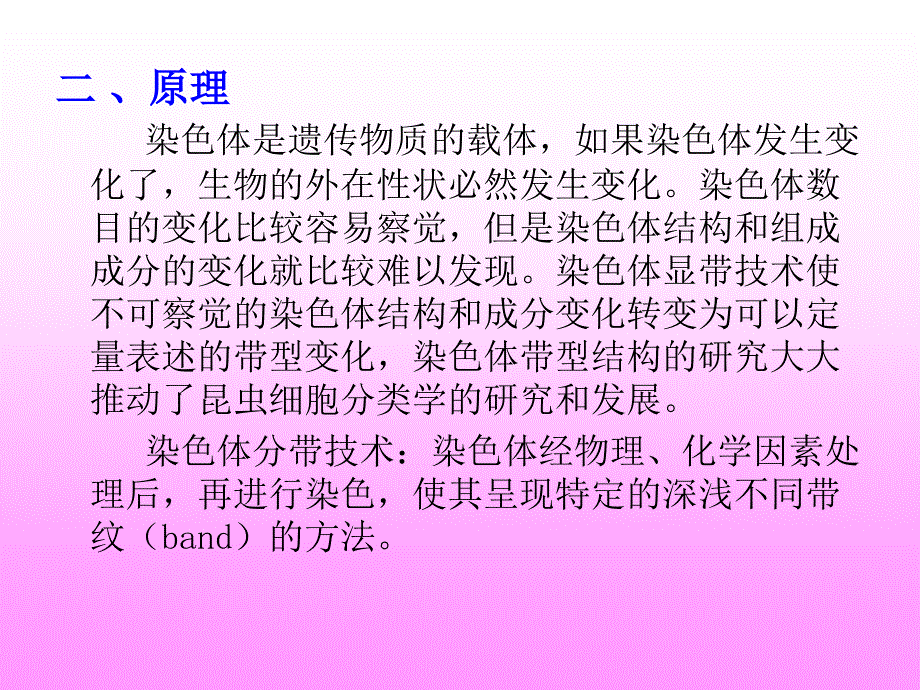 中华蝗染色体C带核型特征分析_第3页