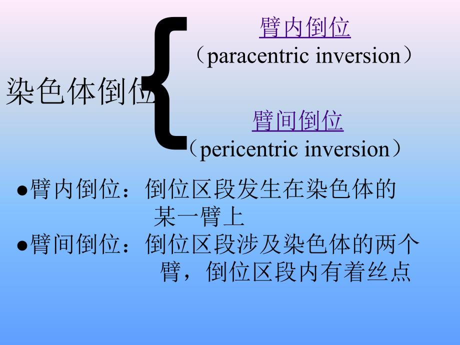 染色体倒位与倒位环.ppt_第3页