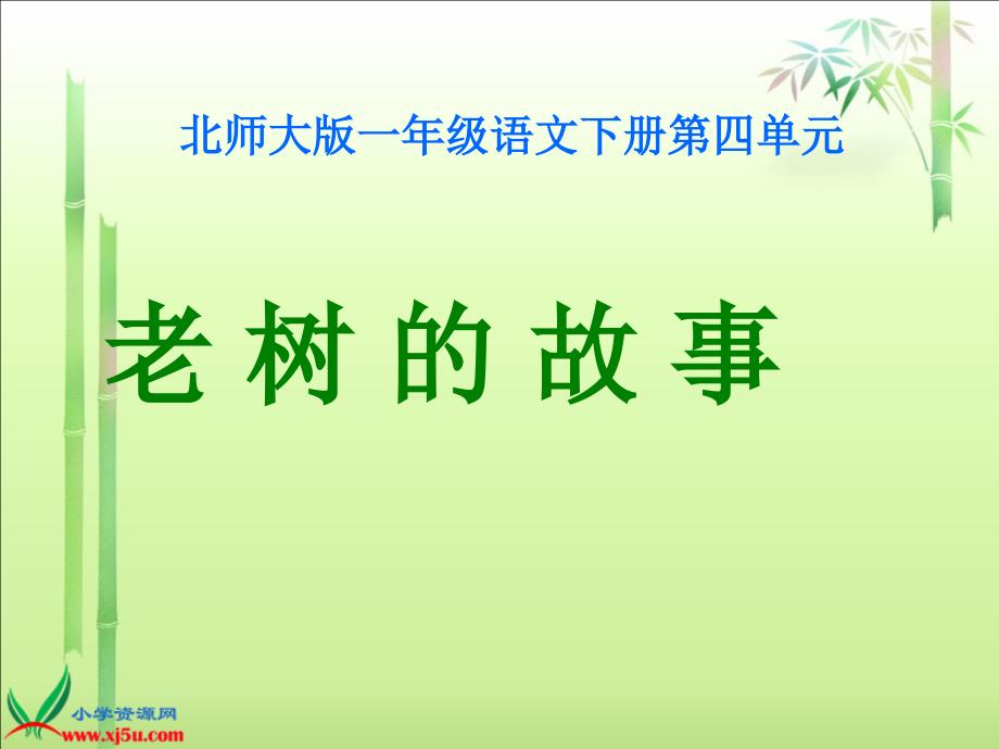 (北师大版)一年级语文下册课件老树的故事1_第1页