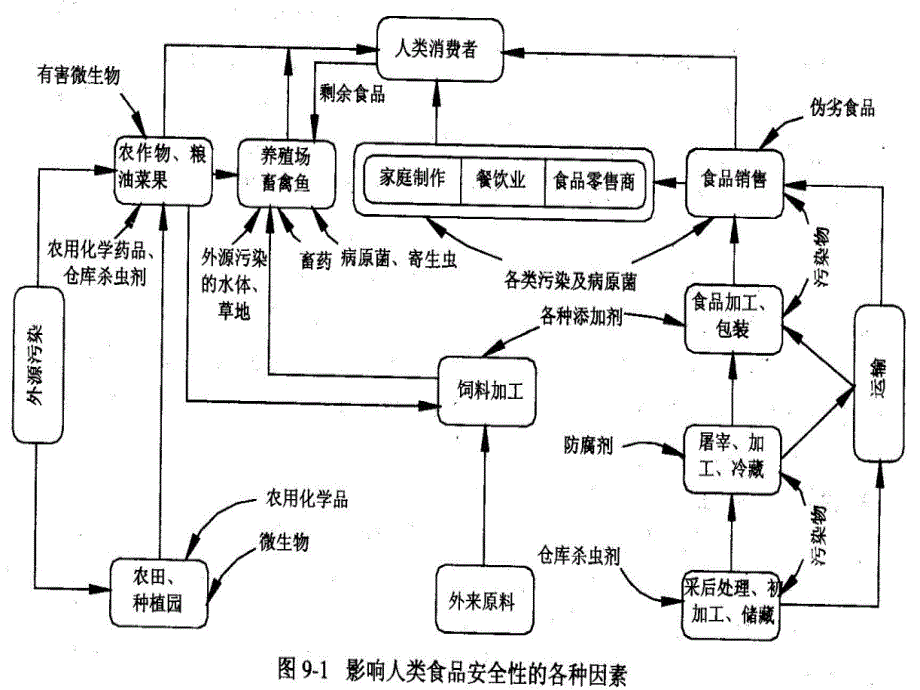 第八章：HACCP体系_第3页