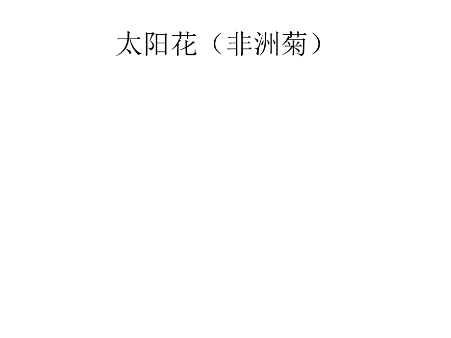 广州辉皇花卉有限公司_第2页