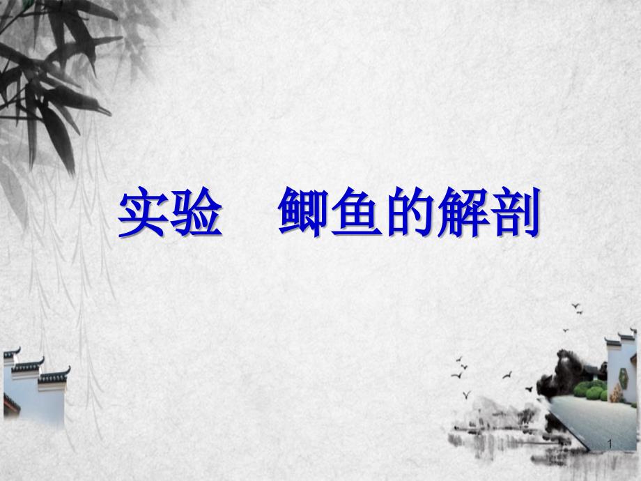 七年级生物下册鲫鱼与水中生活相适应的结构特点课件苏科版课件_第1页