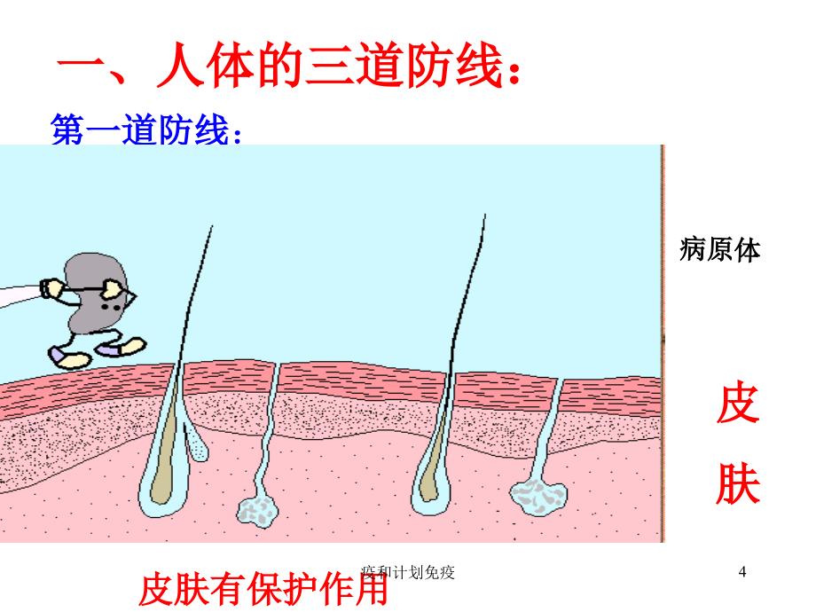 疫和计划免疫课件_第4页