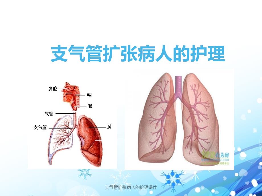 最新支气管扩张病人的护理课件_第1页