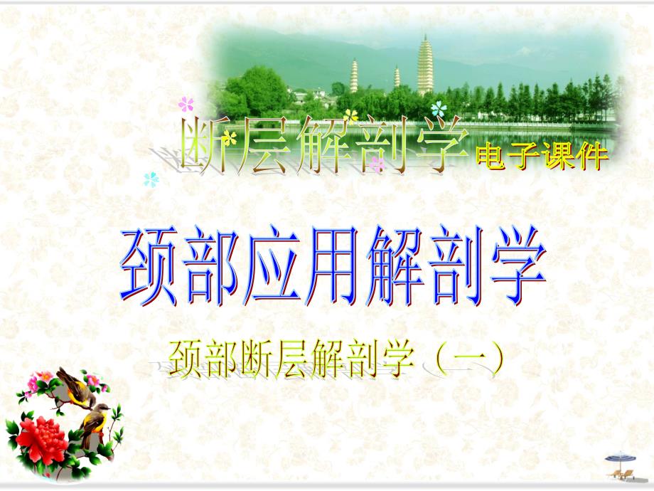 颈部颈部结构应用解剖断层_第1页