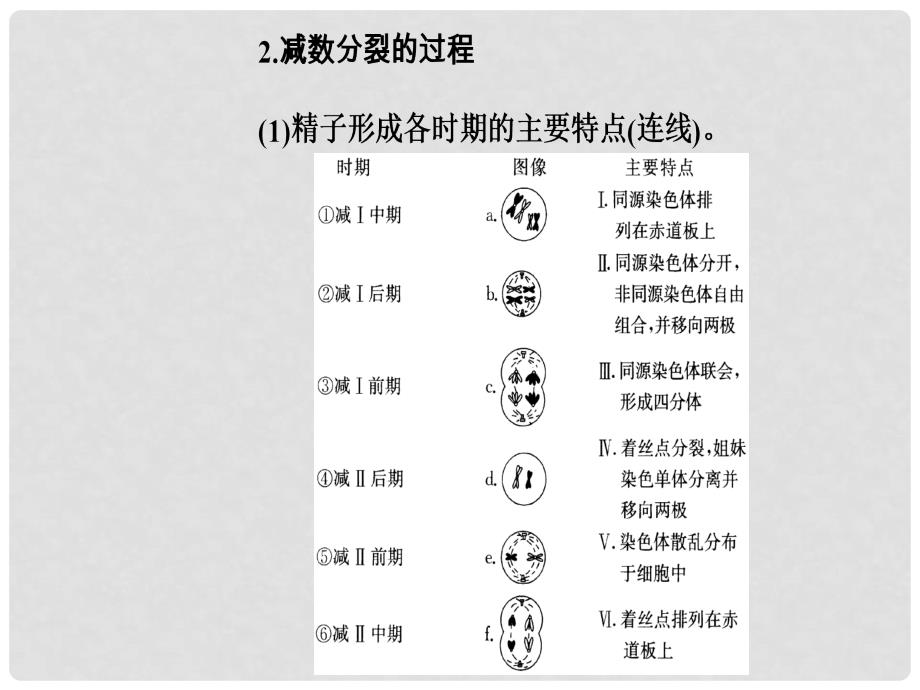 高考生物总复习 第四单元 细胞的生命历程 第2讲 减数分裂和受精作用课件_第4页