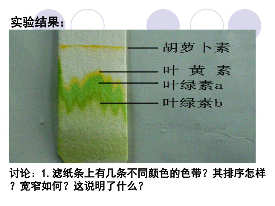 叶绿素提取实验_第1页