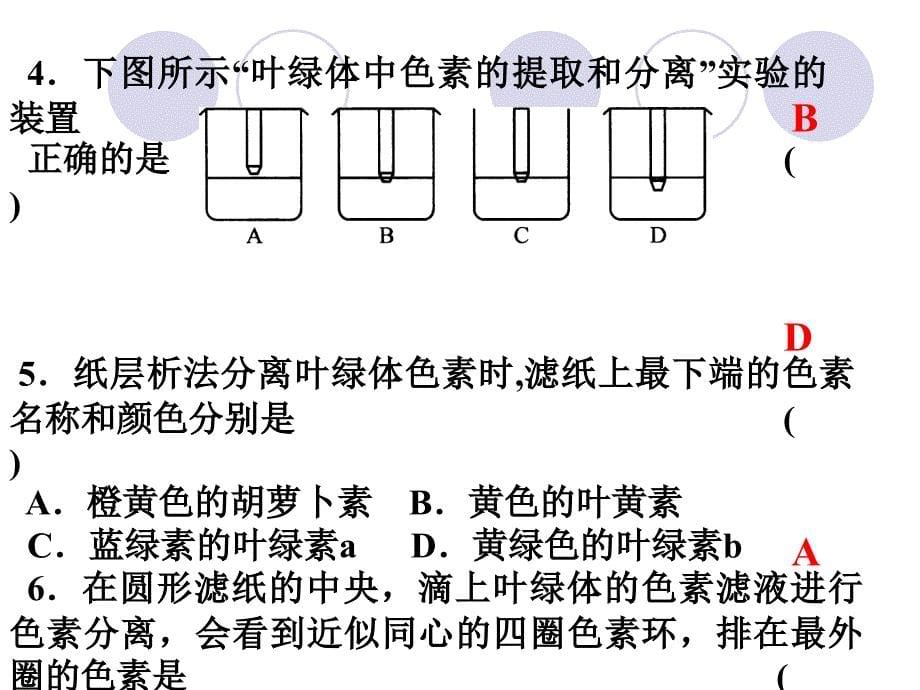 叶绿素提取实验_第5页