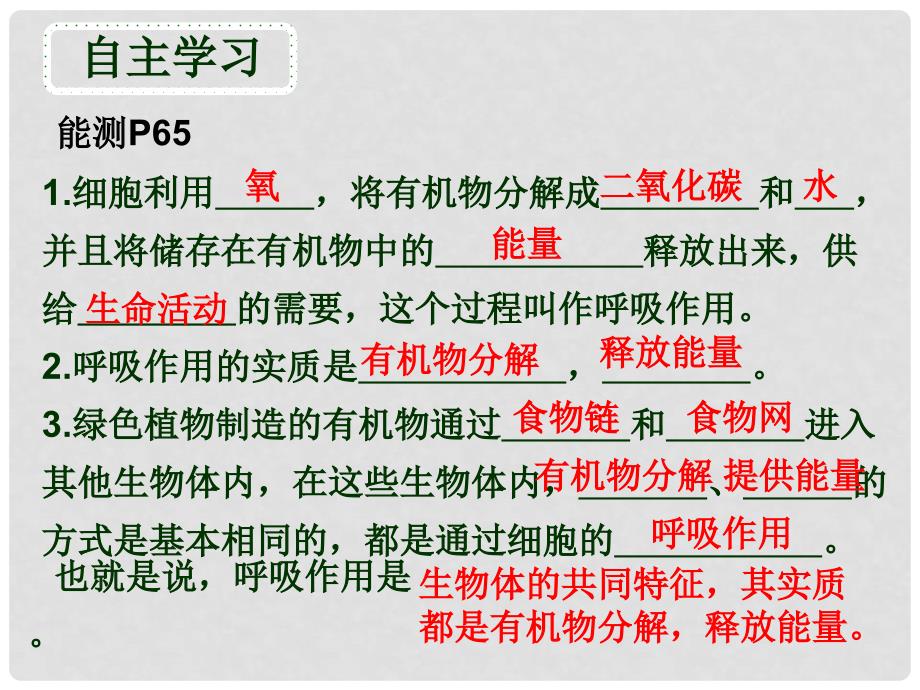 七年级生物上册 3.5.2 绿色植物的呼吸作用课件 （新版）新人教版_第3页