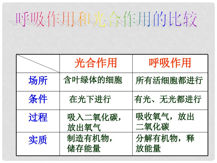 七年级生物上册 3.5.2 绿色植物的呼吸作用课件 （新版）新人教版_第4页