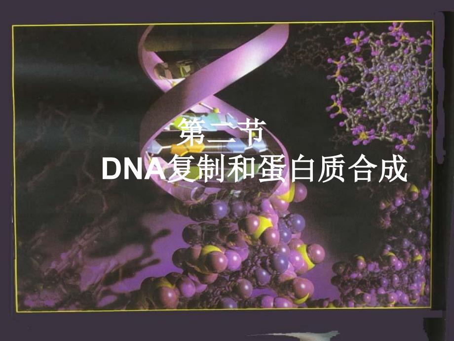 DNA的复制和蛋白质的合成.ppt_第2页