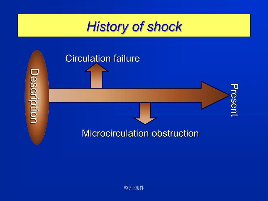 动物病理学休克_第3页