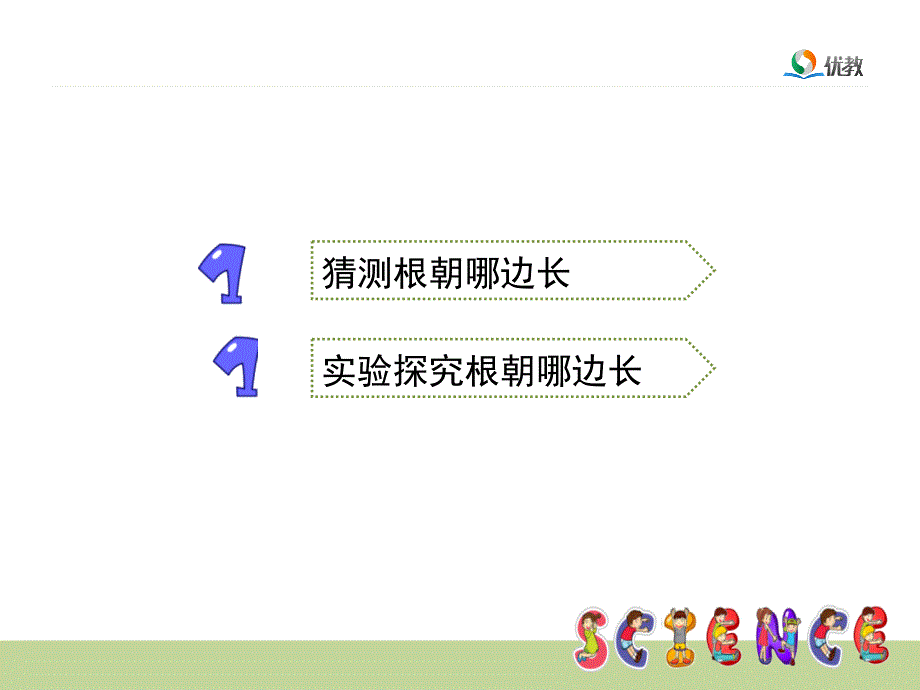 根朝哪边长教学课件_第2页