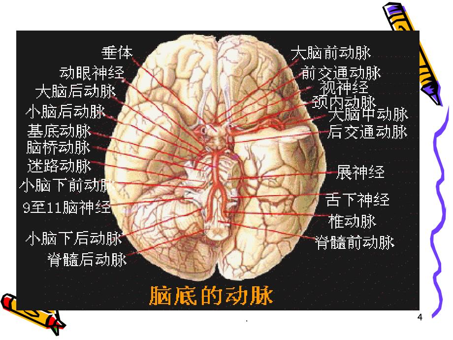 常见颅脑疾病病人的护理ppt医学课件_第4页