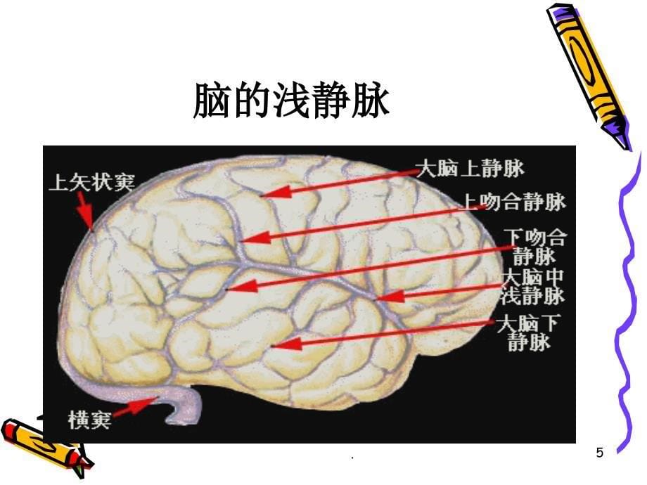 常见颅脑疾病病人的护理ppt医学课件_第5页