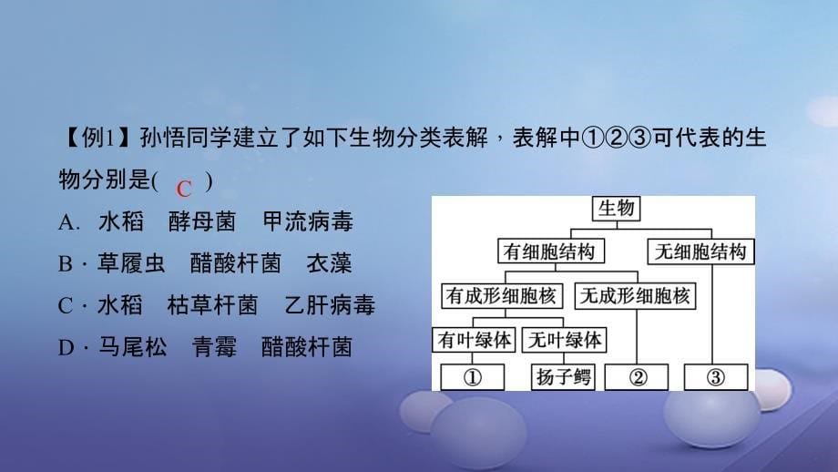 2023届中考生物 第二轮 专题八 生物的多样性复习课件_第5页