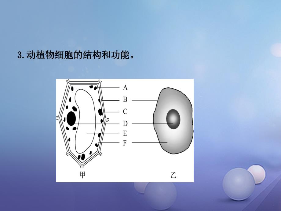 山东省东营市备战2023中考生物 七上 第一单元 第二章课件_第4页