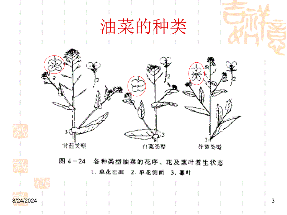 《菜籽粕相关知识》PPT课件_第4页